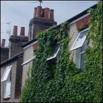 tenancy deposit protection