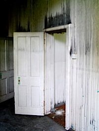 damp house