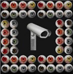 Electronic eyeballs