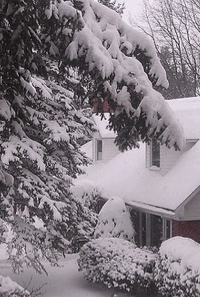 snowy house
