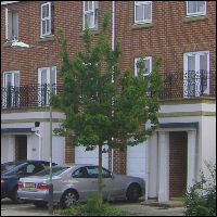 Houses