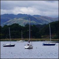 boats