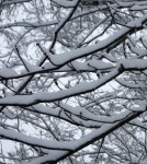 snow2
