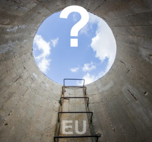 Brxit - hope or hell?