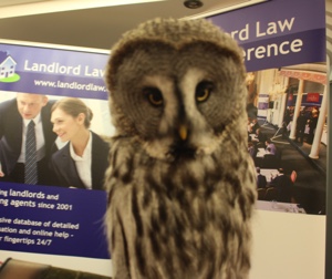 Landlord Law Owl